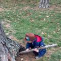 Guess where the cache is
