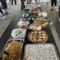 Spring Picnic 2026 5