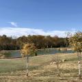 2022 Fall Picnic